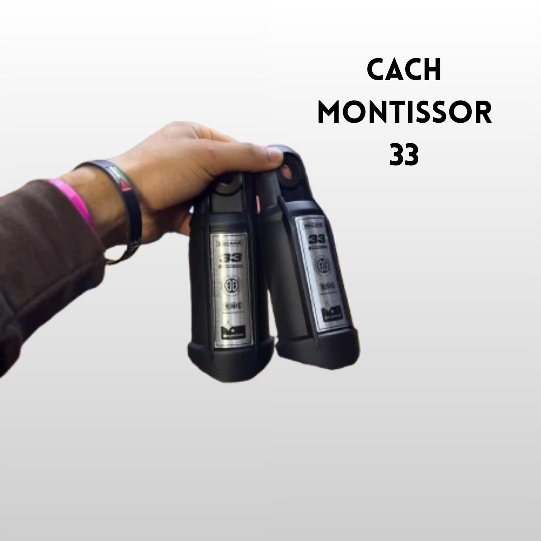 CACH MONTISSOR 33 BECANE